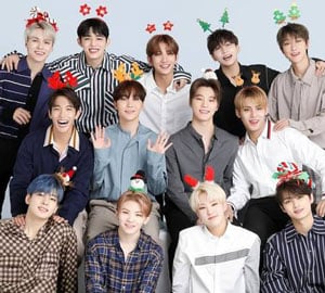 セブンティーン, seventeen, セブチ, メンバー, 年齢